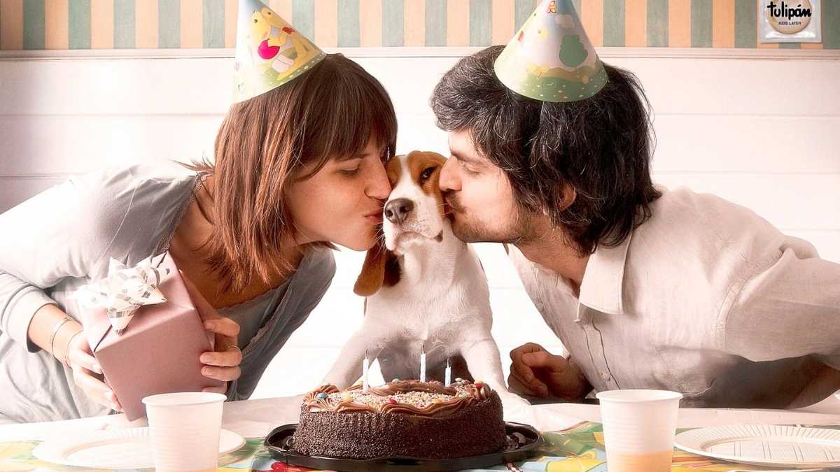 Los “perrhijos”: una nueva tendencia.
