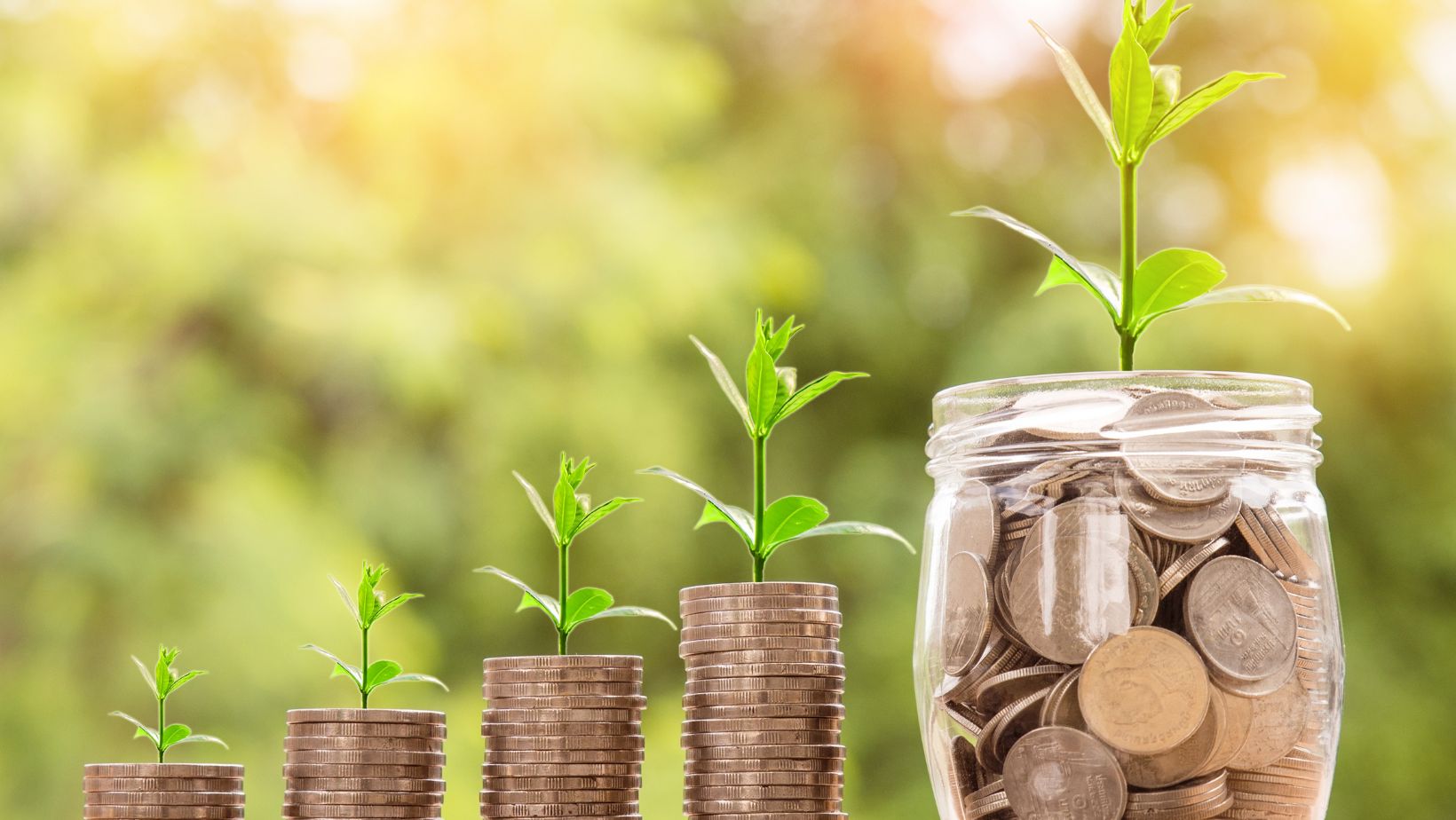 tips para cuidar mi dinero