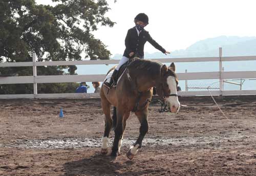 Clases de Equitacion para niños