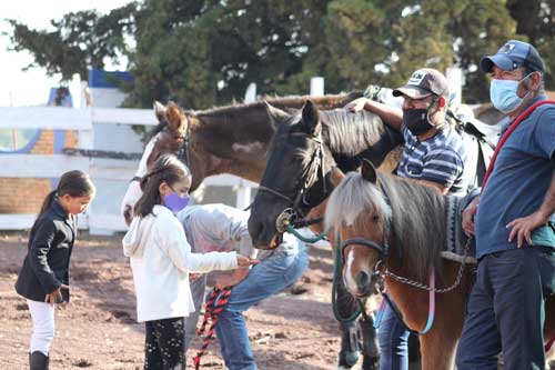 Clases de Equitacion para niños tamaño del caballo