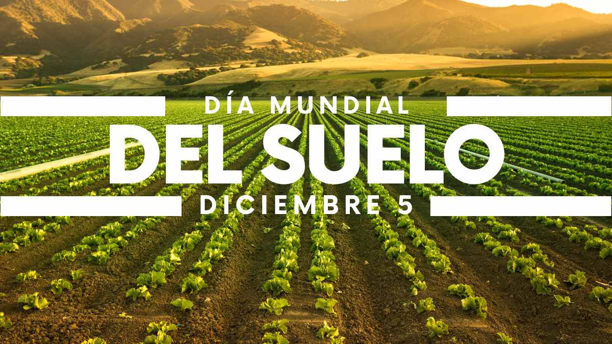 Día Mundial del Suelo