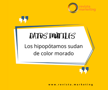 Datos Inutiles del Hipopotamo Revista Marketng