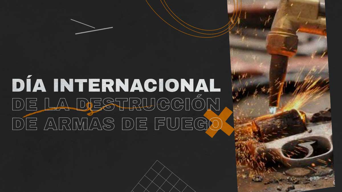 09 de julio Dia Internacional de la Destruccion de Armas de Fuego en Revista Marketing