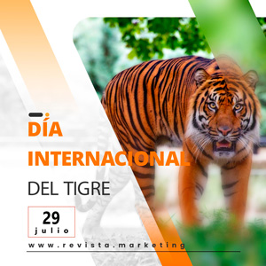 29 de julio Día Internacional del Tigre