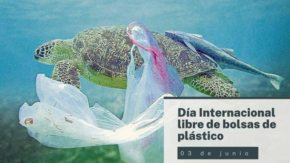 Día Internacional Libre de Bolsas de Plástico