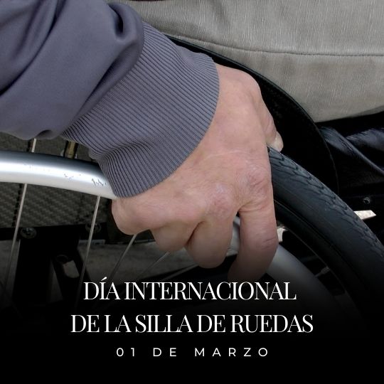 01 de marzo Día Internacional de la Silla de Ruedas