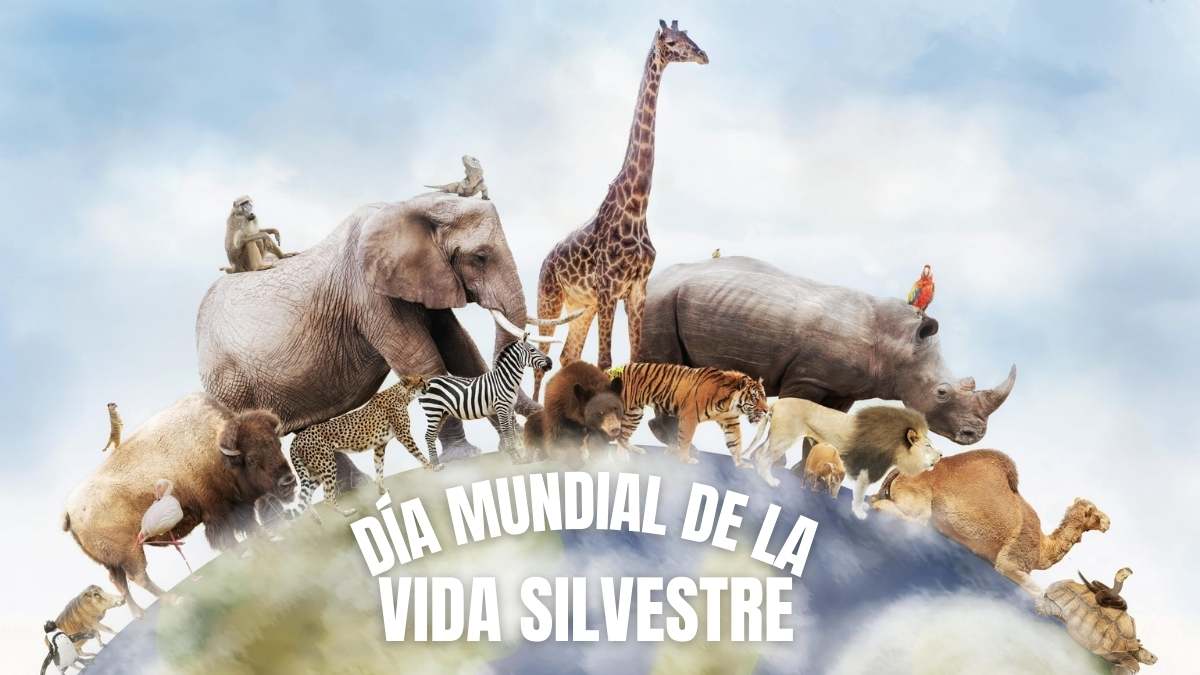 Día Mundial de la Vida Silvestre