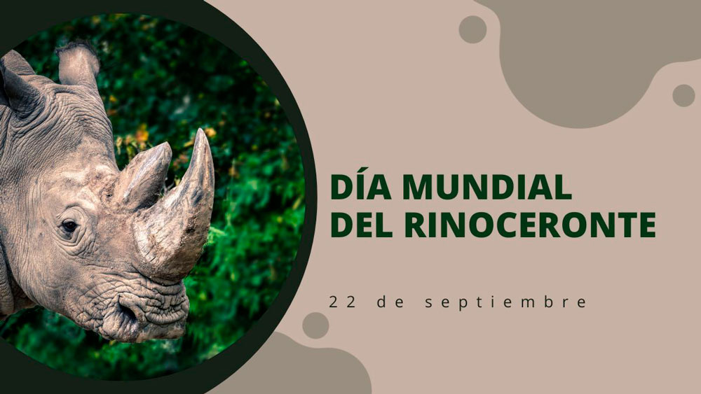 Día Mundial del Rinoceronte