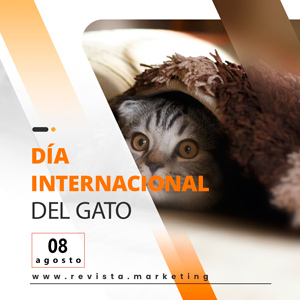 08 de agosto Dia Internacional del Gato