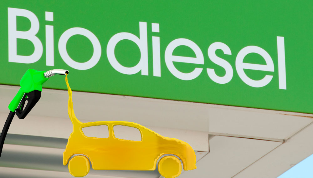 10 de agosto Dia Internacional del Biodiesel en Revista Marketing