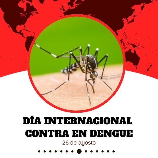 26 de agosto Día Internacional contra el Dengue