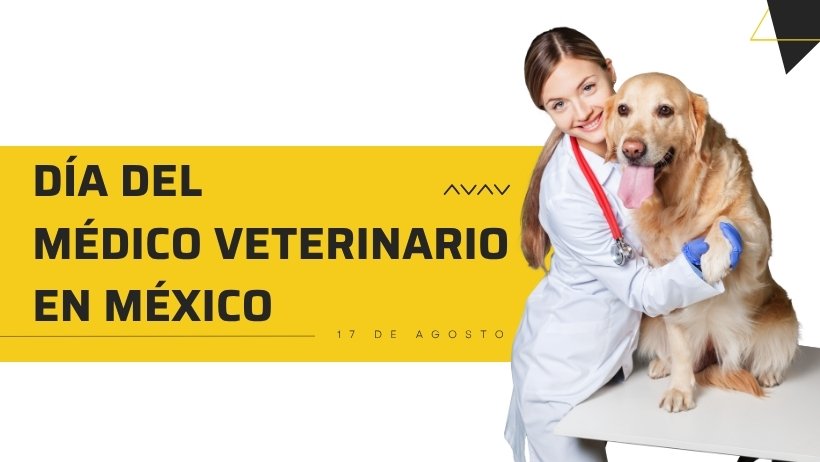 Día del Veterinario en México