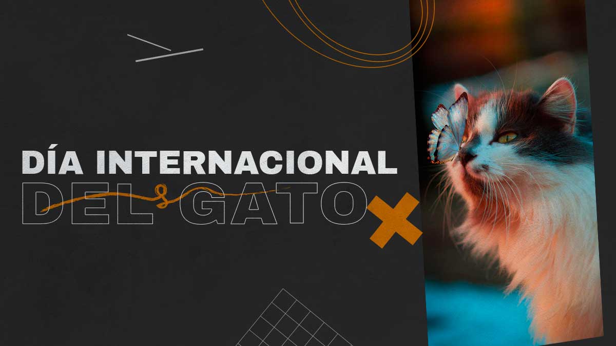 DIA INTERNACIONAL DEL GATO EN REVISTA MARKETING