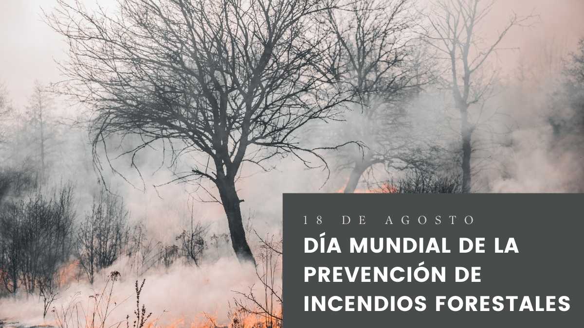 Día Mundial de la Prevención de Incendios Forestales